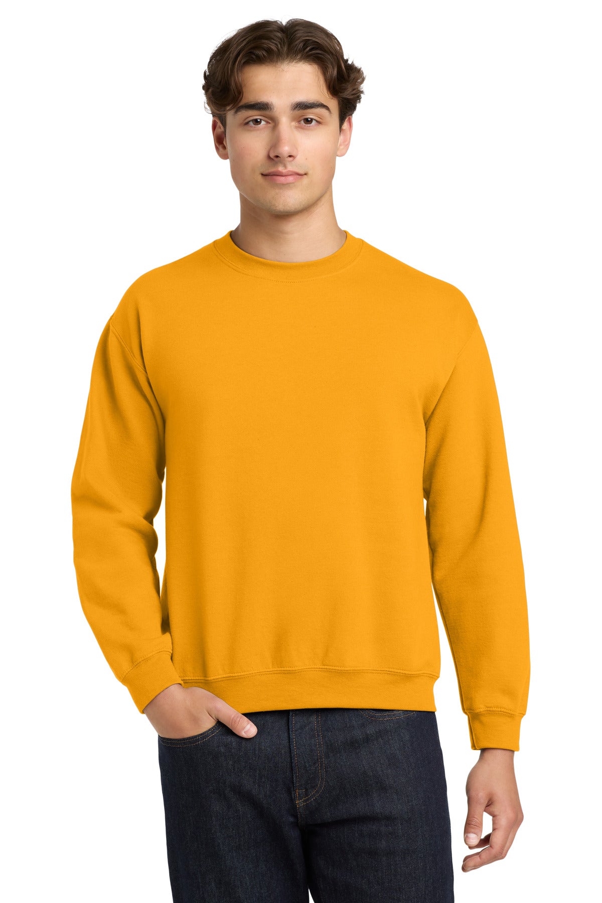 18000_gold_model_front.jpg