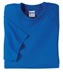 5000 Heavy Cotton 100% Cotton T-Shirt