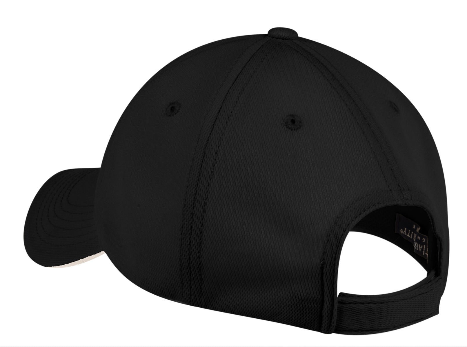 C838_Black_Back_092309.jpg