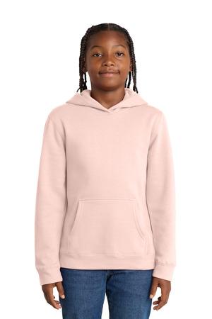 DT6100Y Youth V.I.T.Fleece Hoodie