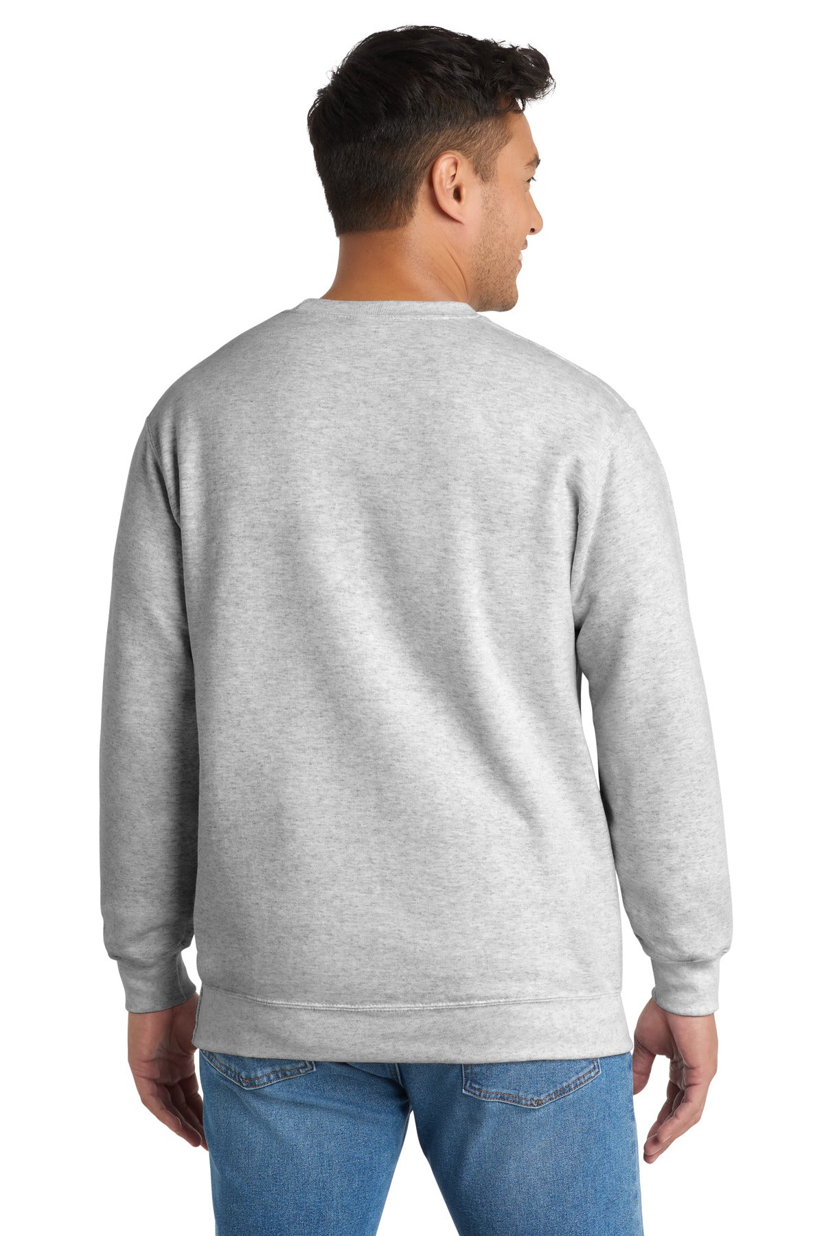 PC90_ash_model_back.jpg