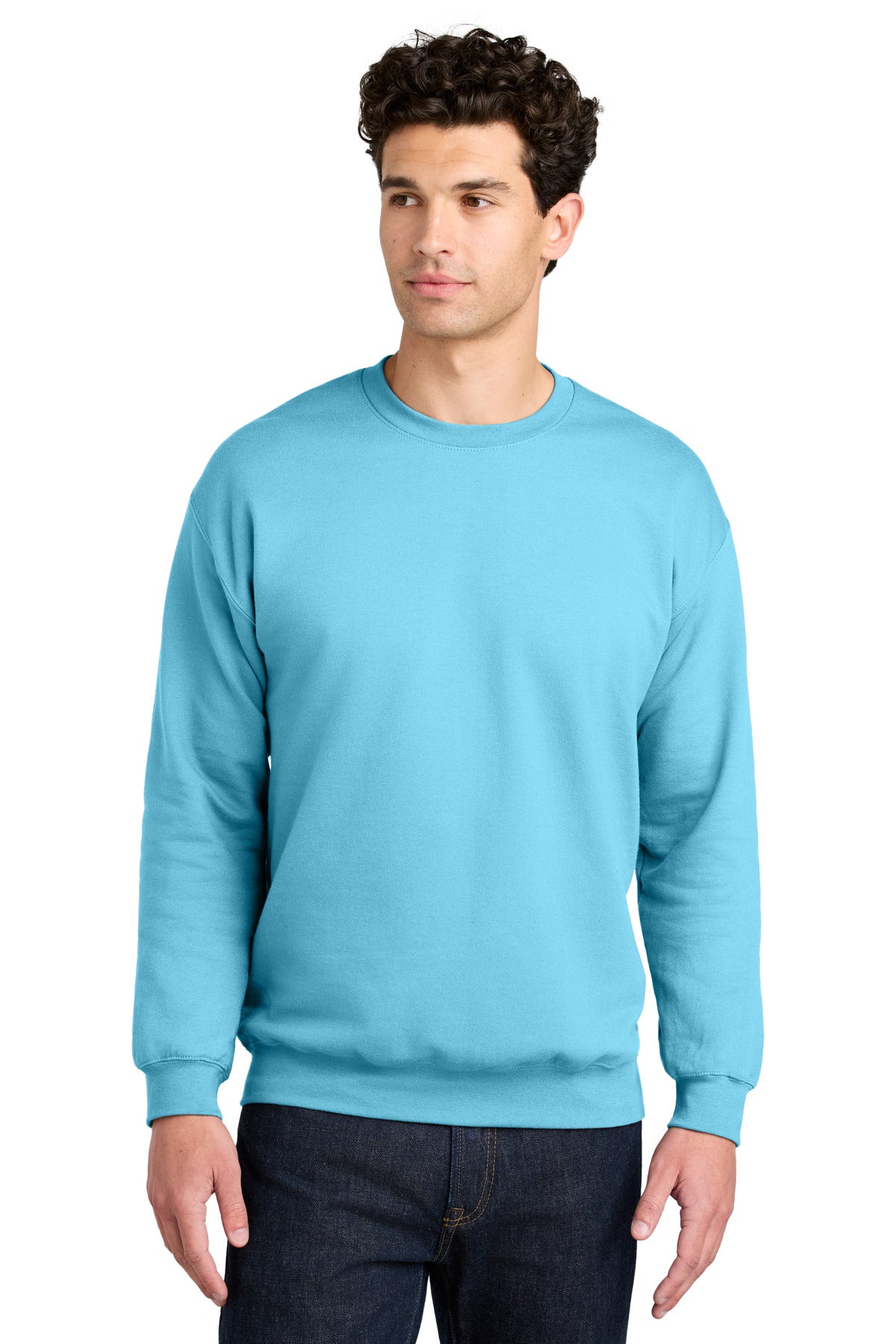 SF000_sky_model_front.jpg