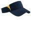STC13 Dry Zone Colorblock Visor