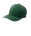 STC17 Flexfit Performance Solid Cap