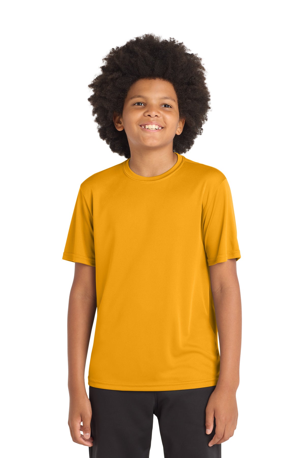 YST350_gold_model_front.jpg